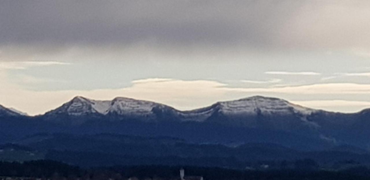 Alpenblick Apartment Leutkirch im Allgäu Екстериор снимка