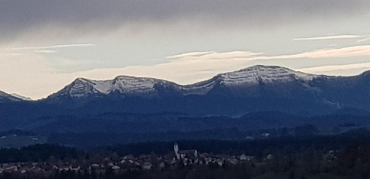 Alpenblick Apartment Leutkirch im Allgäu Екстериор снимка