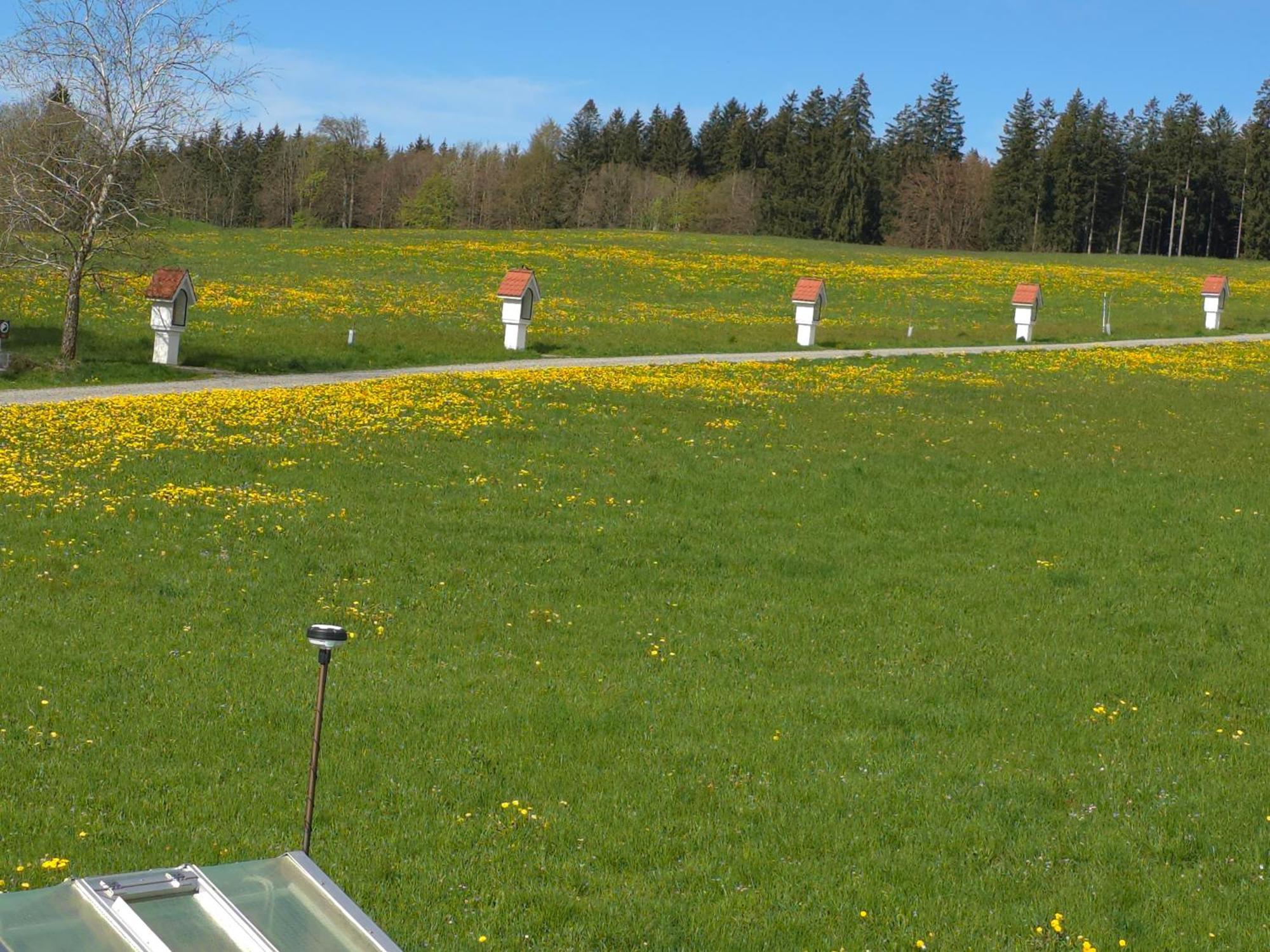 Alpenblick Apartment Leutkirch im Allgäu Стая снимка